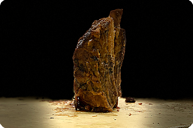 Seaweed/Meat Closeup